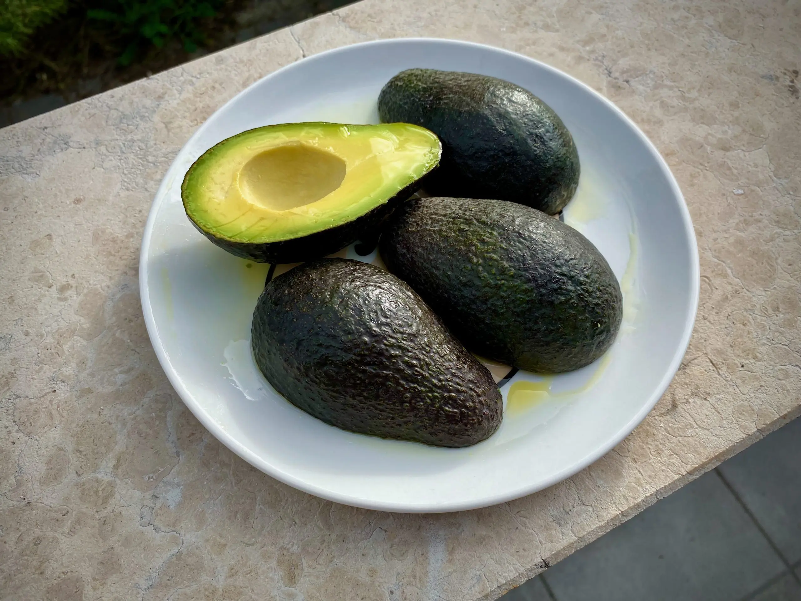 avocado_002