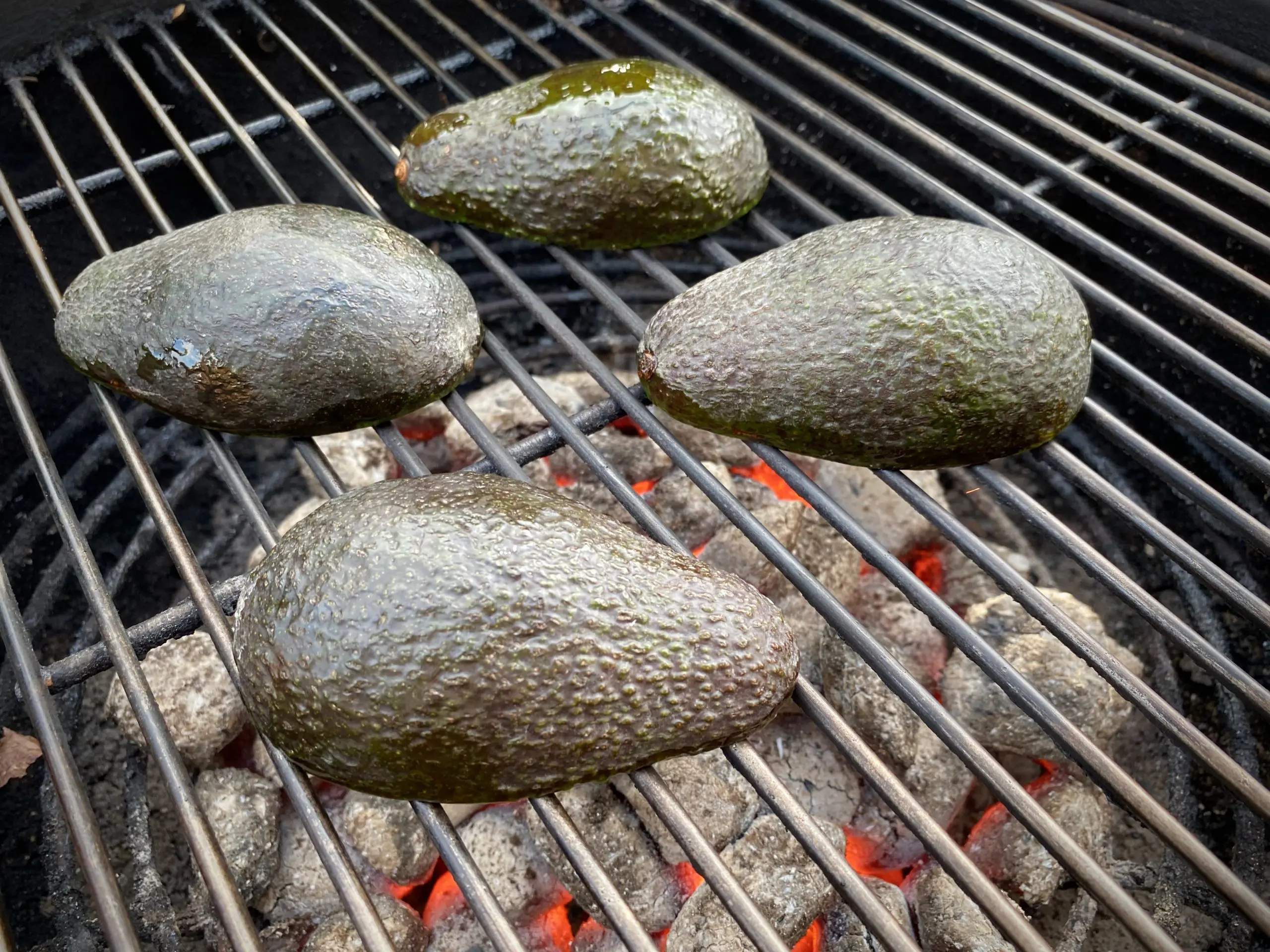 avocado_003
