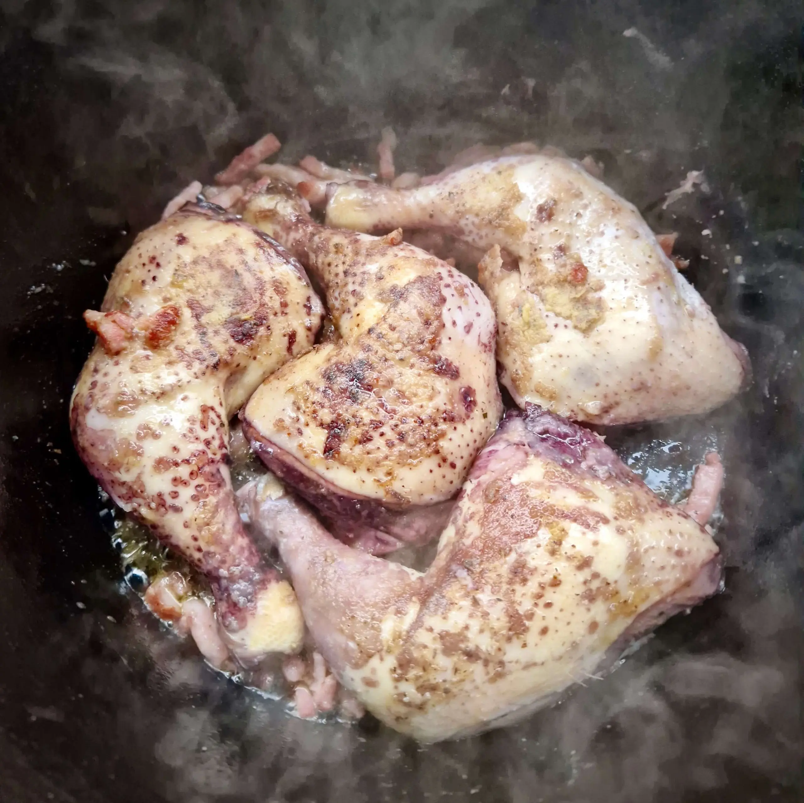Coq-au-vin-004