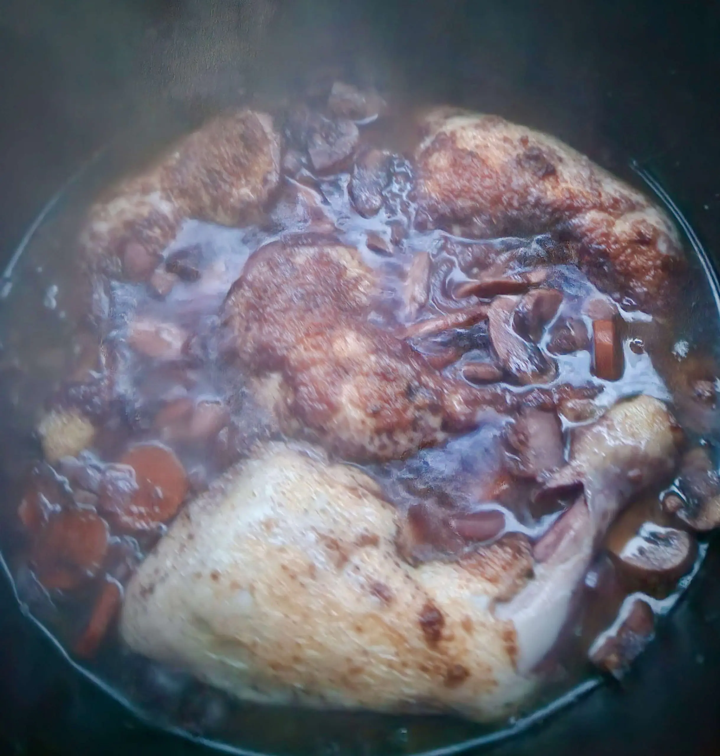 Coq-au-vin-005