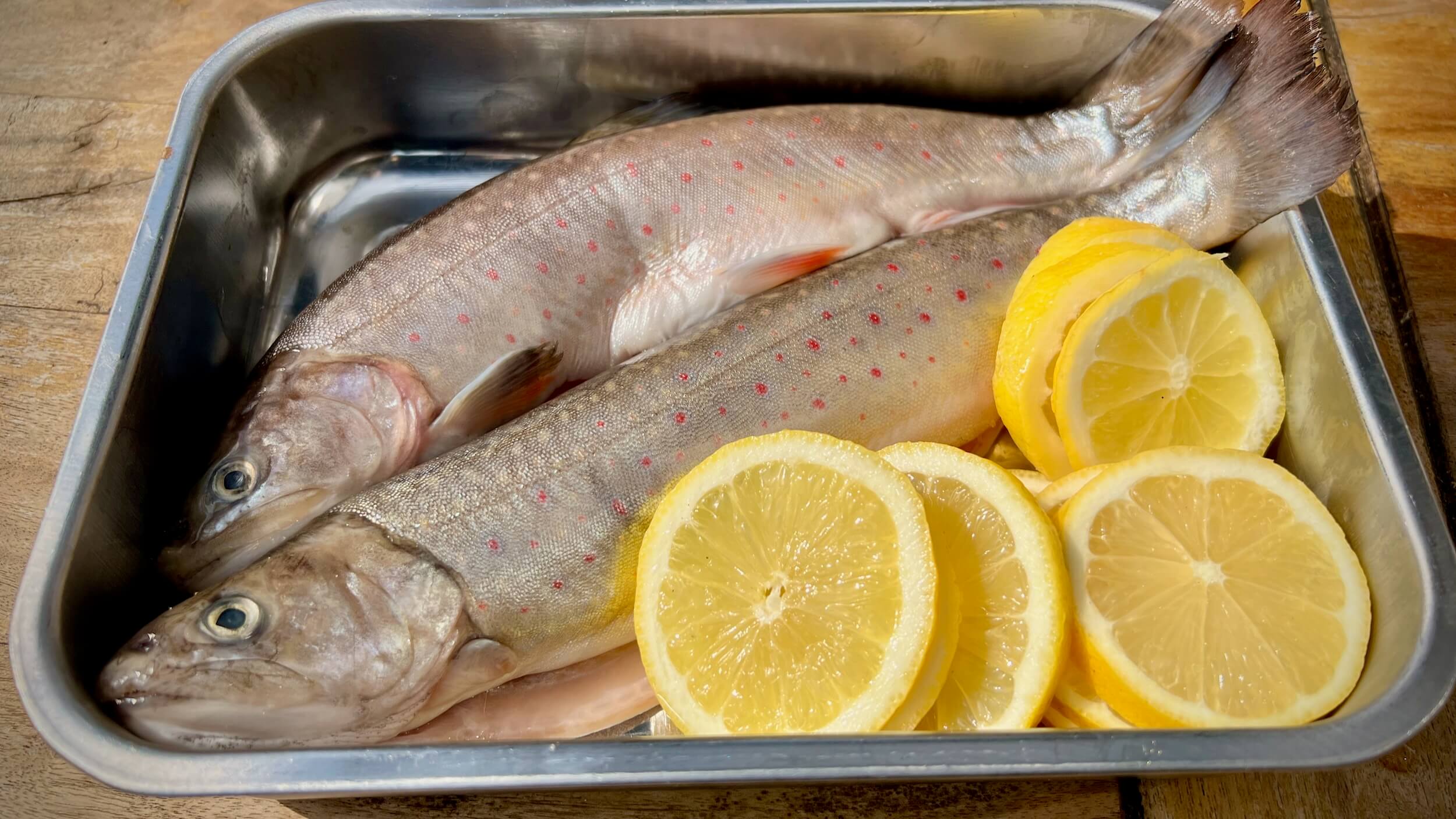 bachsaibling-im-bananenblatt-001