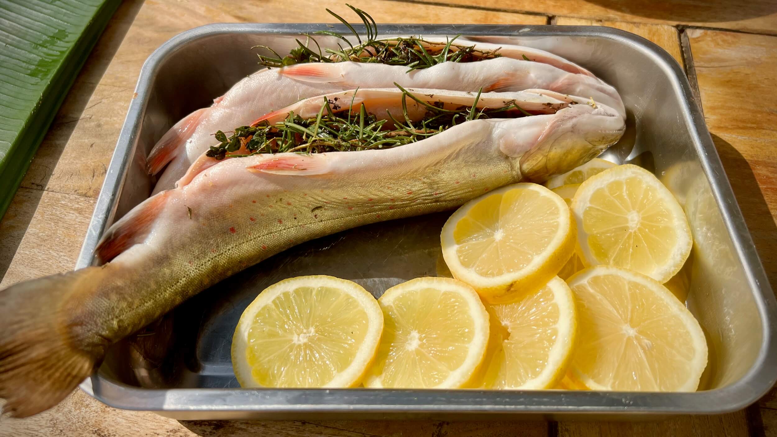 bachsaibling-im-bananenblatt-003