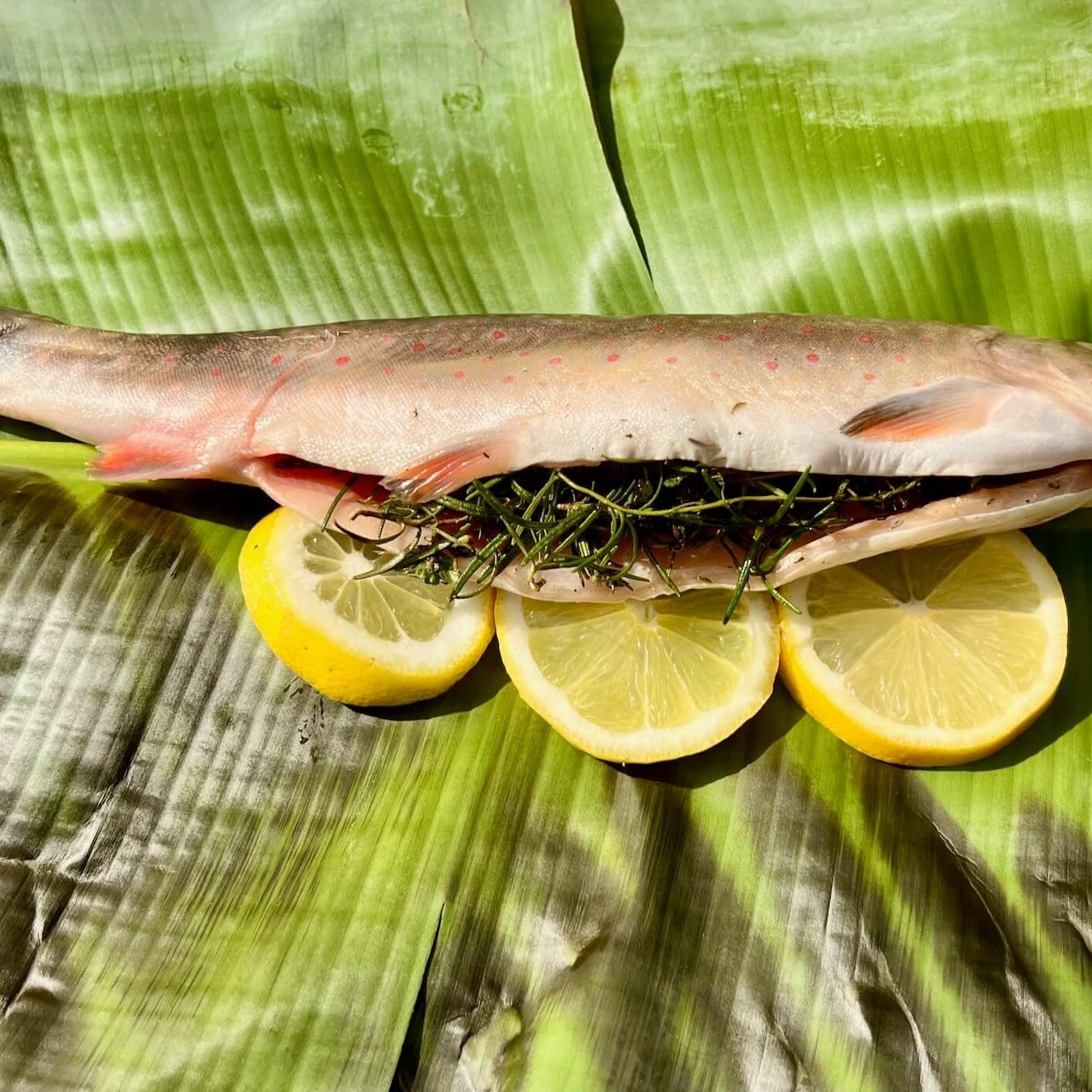 bachsaibling-im-bananenblatt-004