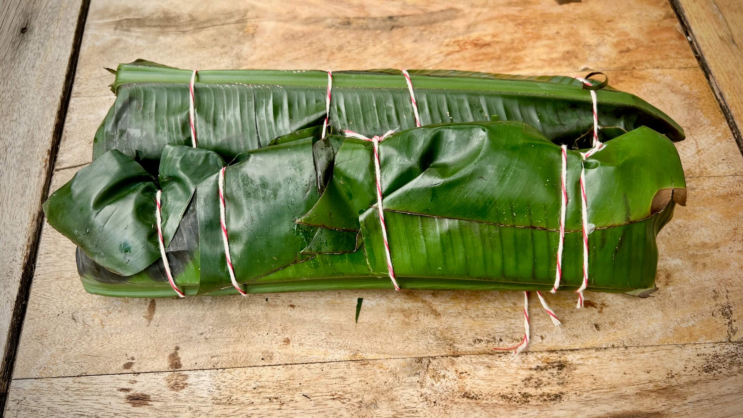 bachsaibling-im-bananenblatt-005