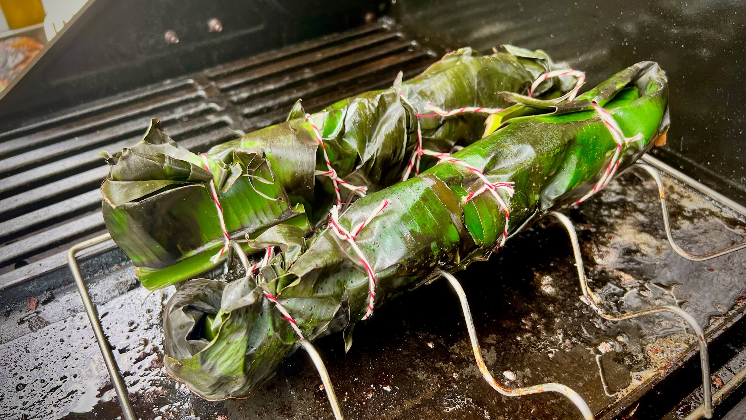 bachsaibling-im-bananenblatt-006